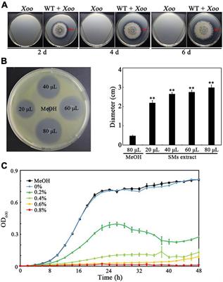 Antibacterial activity of peptaibols from Trichoderma longibrachiatum SMF2 against gram-negative Xanthomonas oryzae pv. oryzae, the causal agent of bacterial leaf blight on rice